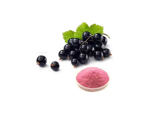 Blackcurrant Powder