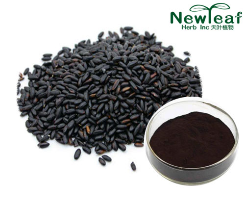 Black Rice Extract(Cyanidin,Peonidin)