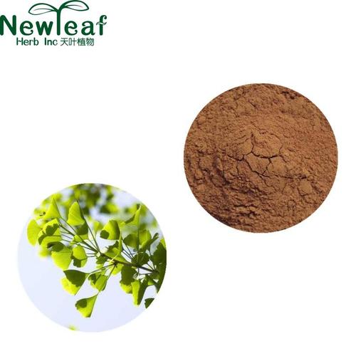 ginkgo biloba leaf extract powder