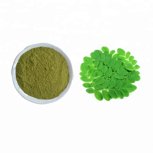 Moringa Oleifera Leaf Extract
