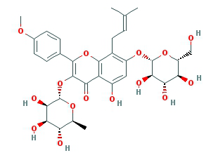 Epimedium Extract4.jpg