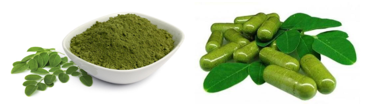 Moringa Oleifera Leaf Extract1.png